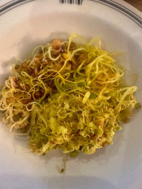 Food & Ferments