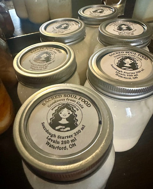 Sour Dough Starter in Glass Mason Jar 250 ML.