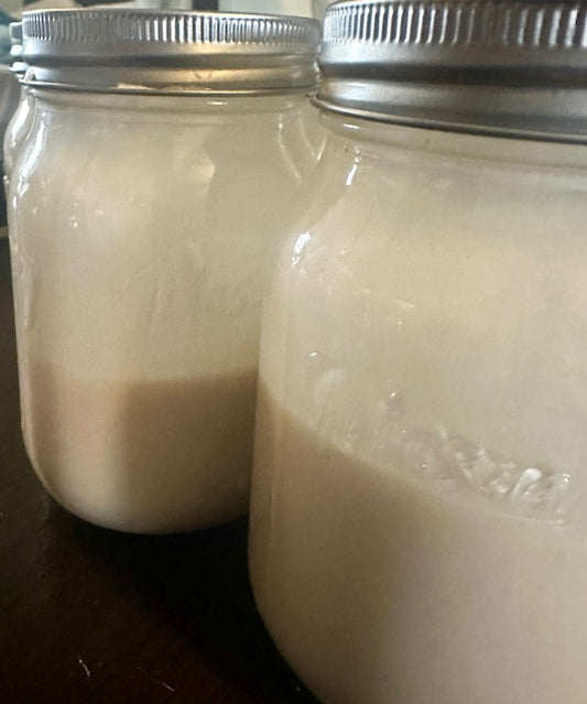 Save $4! Kombucha Scoby Hotel + Sour Dough Starter