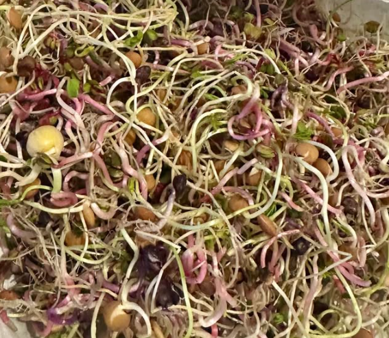 Brilliant Blend 150 G