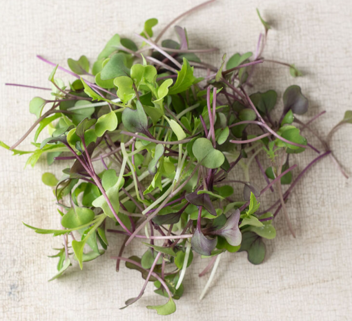 Mellow Microgreen Mix 150 G